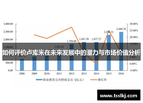 如何评价卢库米在未来发展中的潜力与市场价值分析