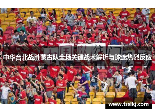 中华台北战胜蒙古队全场关键战术解析与球迷热烈反应