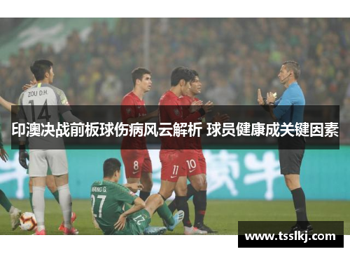 印澳决战前板球伤病风云解析 球员健康成关键因素