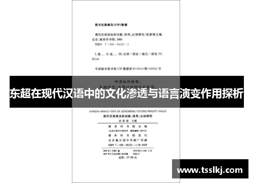 东超在现代汉语中的文化渗透与语言演变作用探析