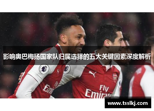 影响奥巴梅扬国家队归属选择的五大关键因素深度解析